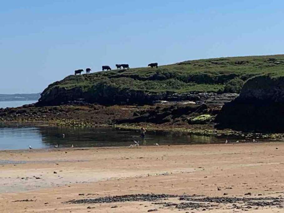 Bumblebee Cottage Donegal Town Extérieur photo