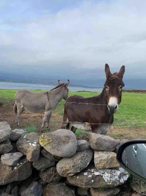 Bumblebee Cottage Donegal Town Extérieur photo